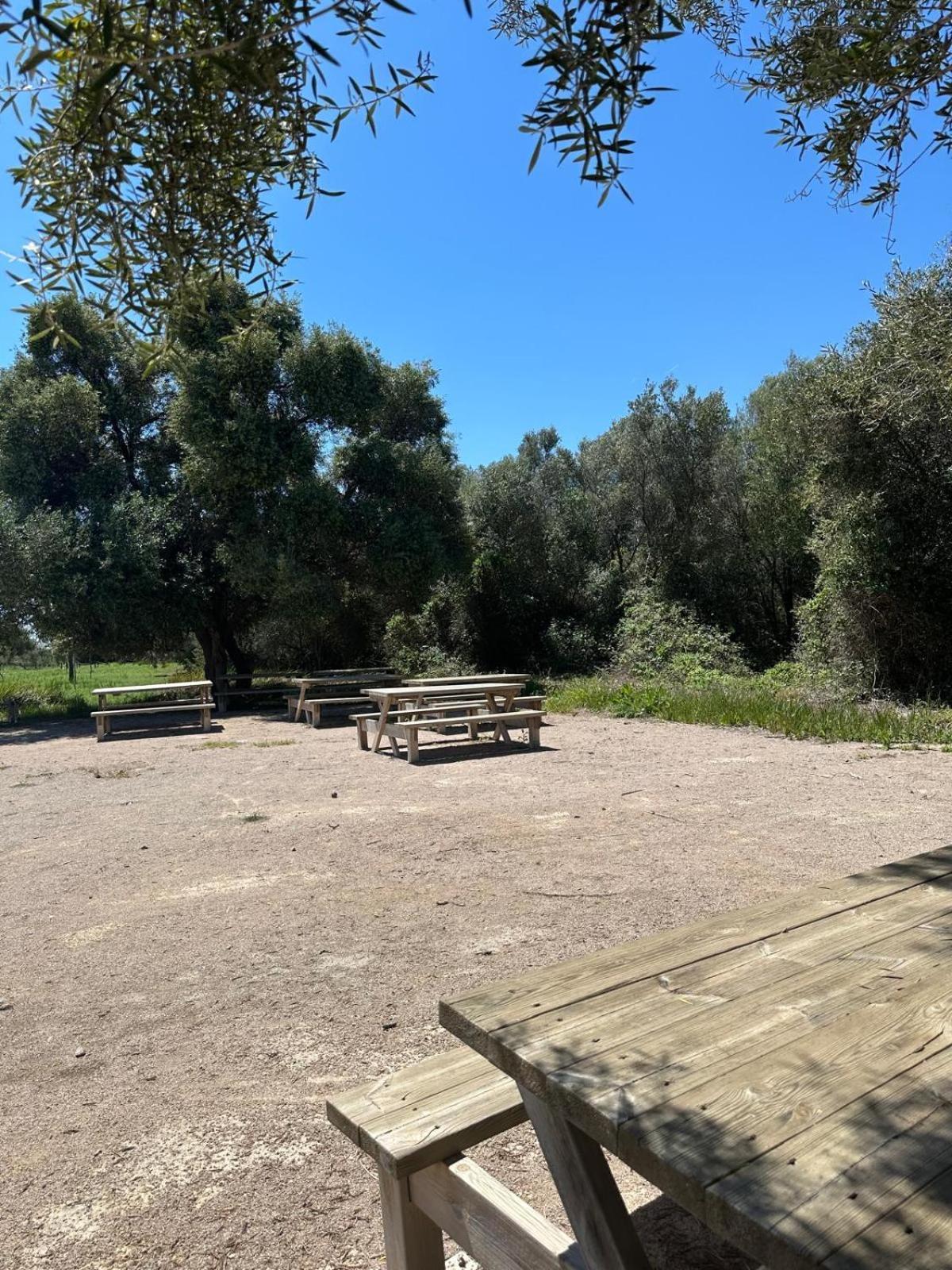 Duplex, Piscina Y Playa Villa Пуебла де Фарналс Екстериор снимка